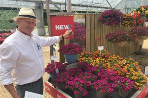 Stuart Lowen with Calibrachoa Goodnight Kiss